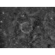 Caméra QHY 16200 CCD / 5 positions filtres