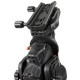 CELESTRON CGE Pro monture