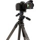 Benro TAD28AHD2 Series 2 Adventure Aluminum Tripod with HD2 3-Way Pan/Tilt Head