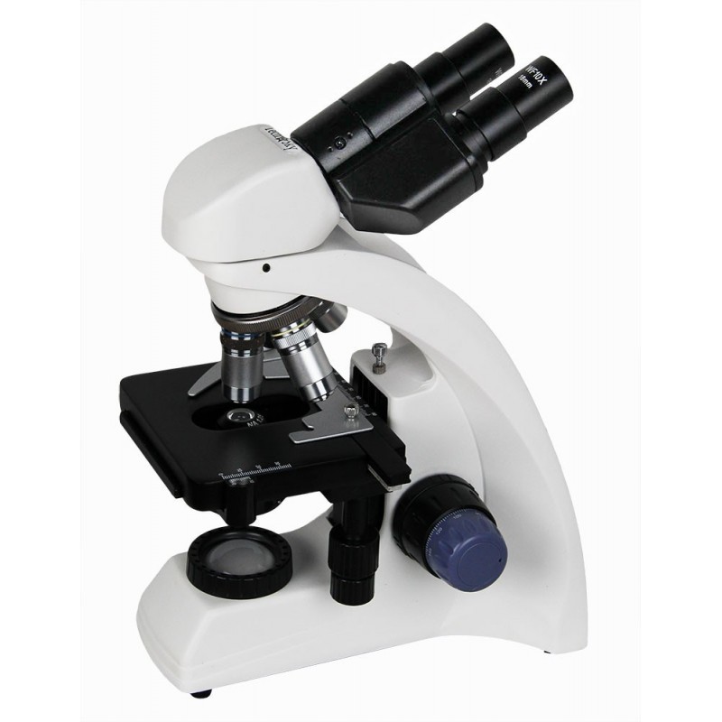 Microscope binoculaire