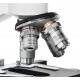 BRESSER Erudit DLX 40-600x Microscope