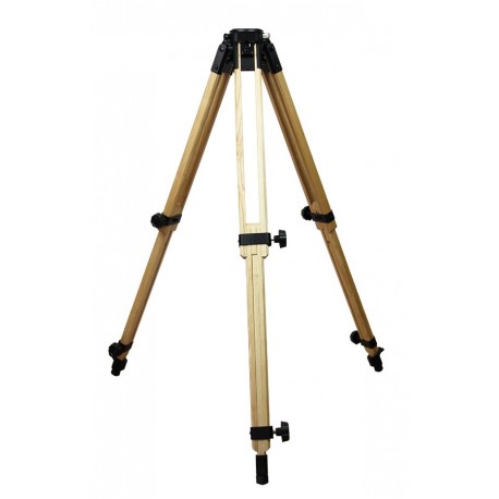 TRIPOD IBIS IN WOOD