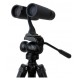 CELESTRON REGAL 10 X 42  ED