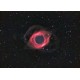 Télescope Explore Scientific ED80 APO iEXOS-100 PMC-Eight GoTo