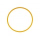 Baader M48 Fine Adjustment Ring 1 mm Gold Color