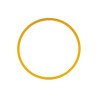 Baader M48 Fine Adjustment Ring 1 mm Gold Color