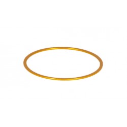 Baader M48 Fine Adjustment Ring 1 mm Gold Color
