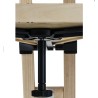 Berlebach Graviton Tripod for iOptron CEM120